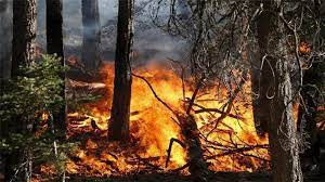 Dichiarazione stato di massima pericolosità per gli incendi boschivi su tutto il territorio
regionale del Piemonte A PARTIRE DAL GIORNO 16.01.2022. Legge 21 novembre 2000, n.
353. Legge regionale 4 ottobre 2018, n. 15